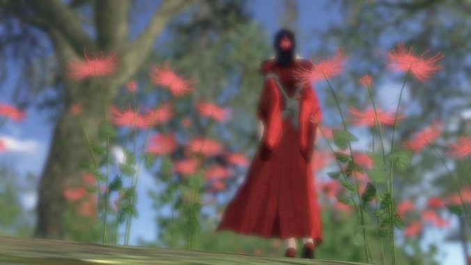 有哪些事情是你去了越南以后才知道的？